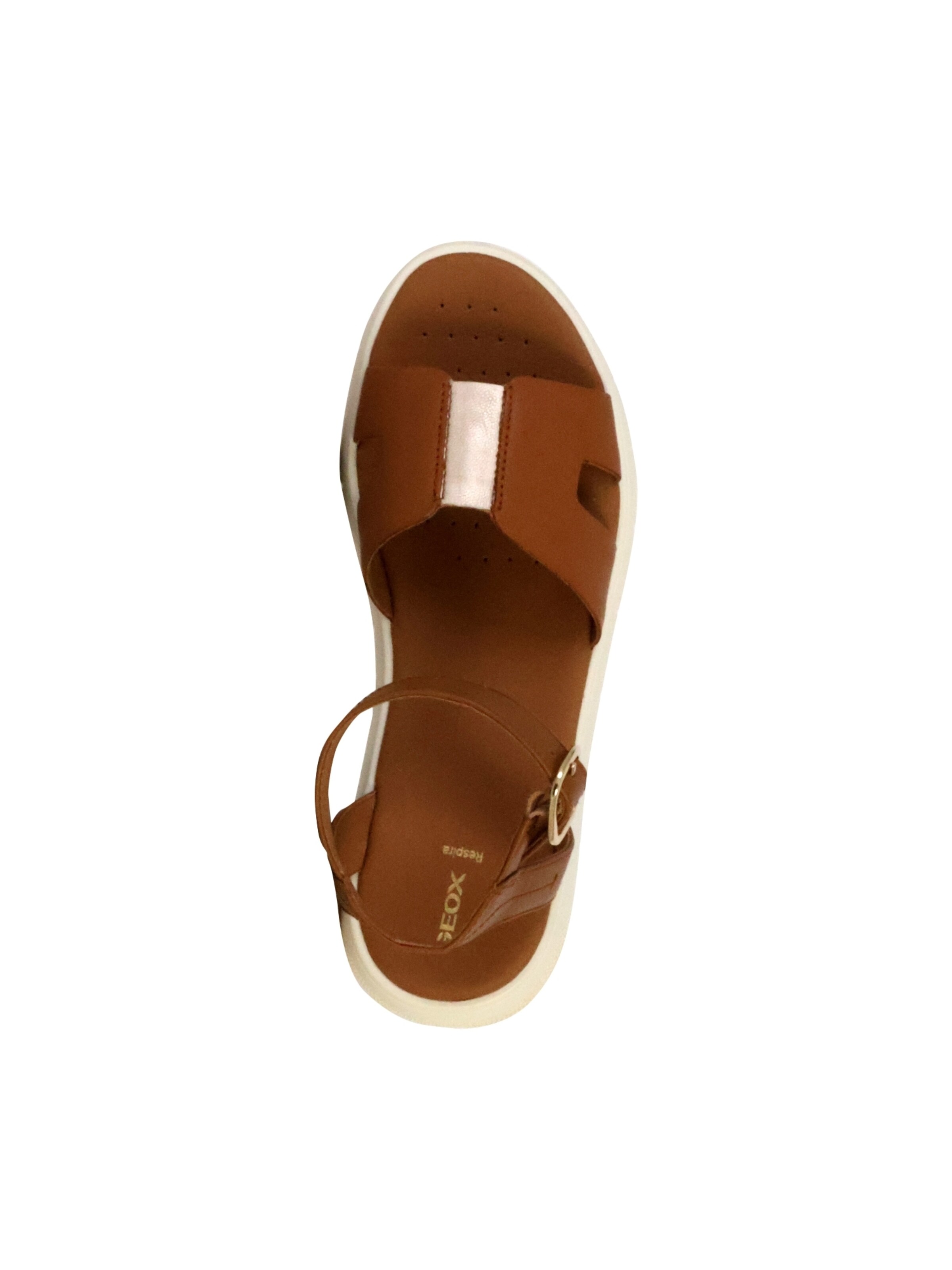 GEOX Sandale‌‌‌‌ in Braun