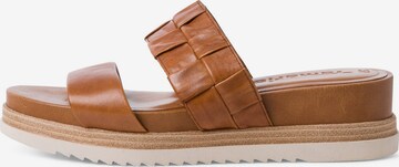 TAMARIS Mule in Brown