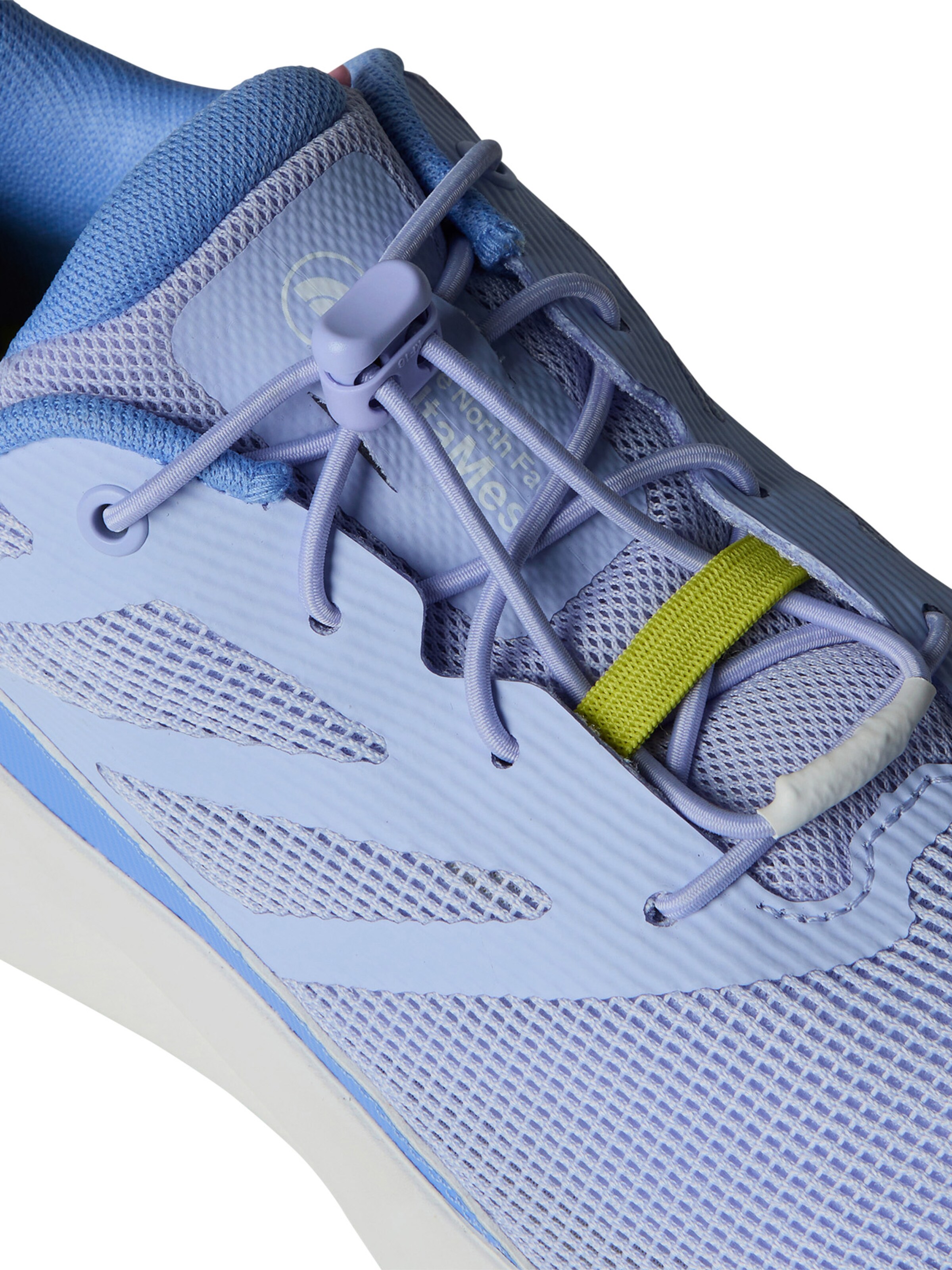 THE NORTH FACE Buty sportowe 'Altemesa' w kolorze niebieski