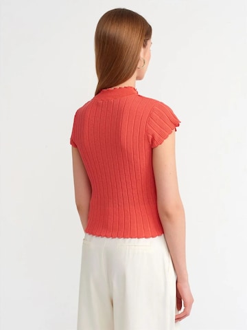 Dilvin Pullover 'Pullover'‌‌‌‌ in Orange