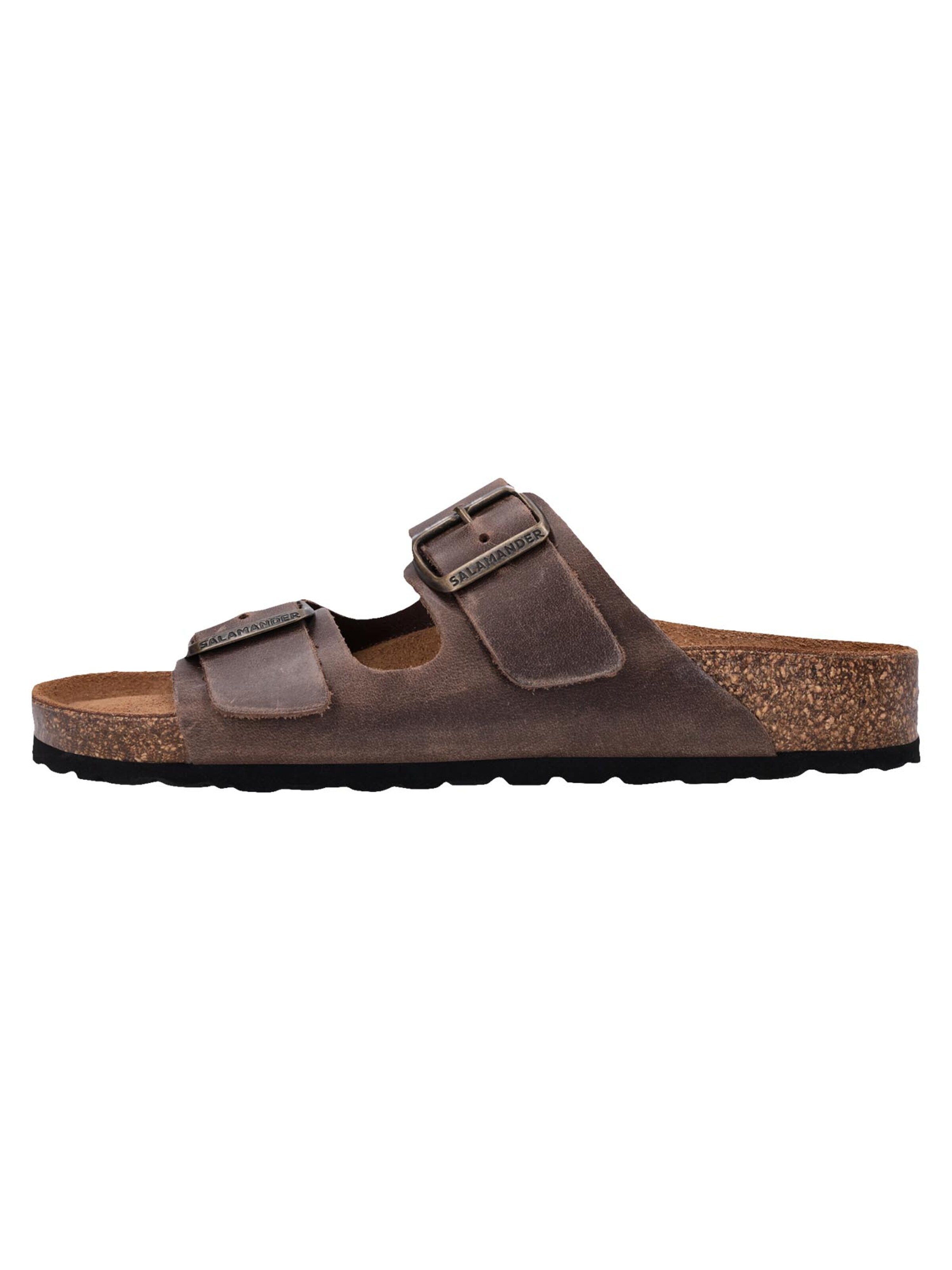 SALAMANDER Mules 'Basic' in Brown: front