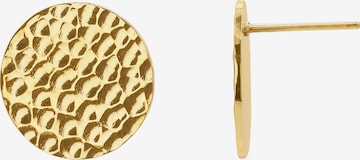 Heideman Earrings in Gold