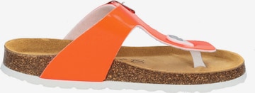 Chaussures ouvertes 'Kos ' Palado en orange