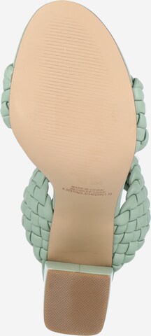 STEVE MADDEN Sandaal in Groen