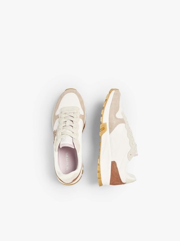 Baskets basses ' ' Scalpers en blanc