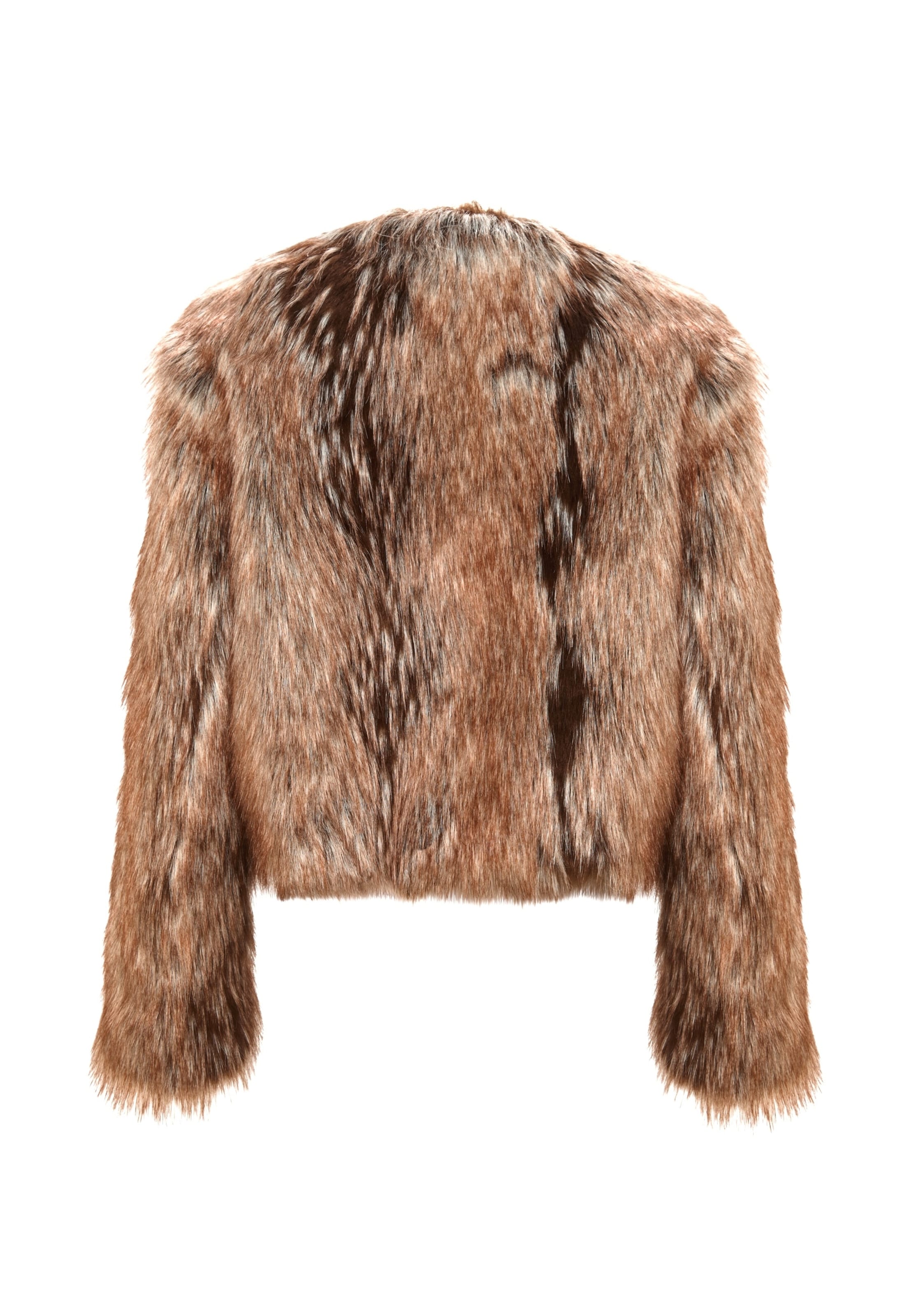 CESARE GASPARI Wintermantel in Bruin