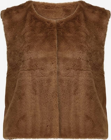 Gilet 'Fuzzy' Deeluxe en marron : devant