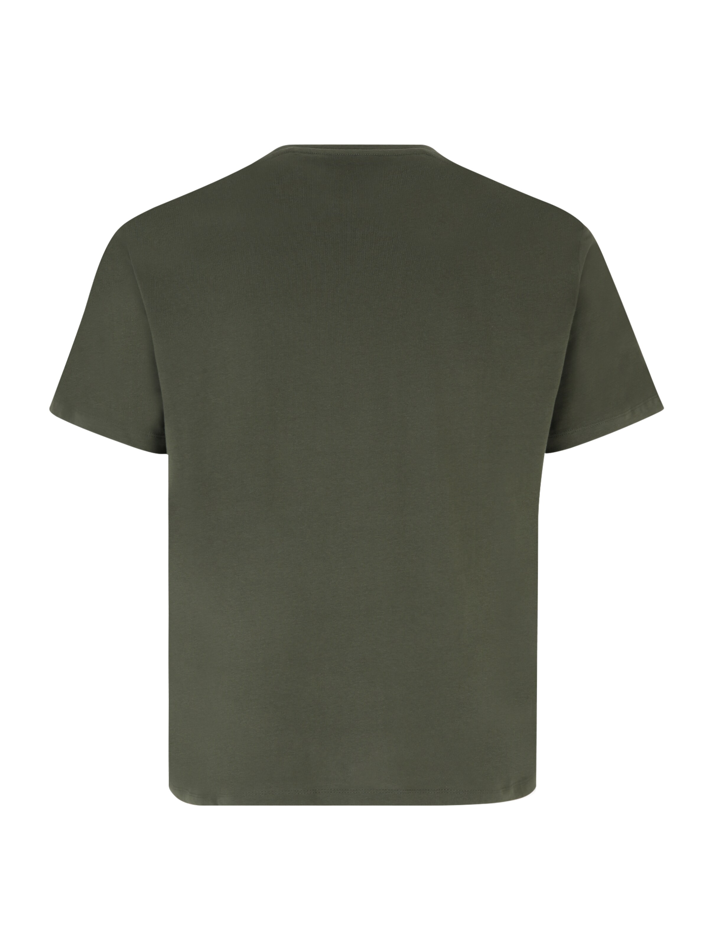 s.Oliver Men Big Sizes Shirt in Grün