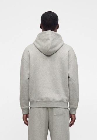 Felpa di HOLLISTER in grigio
