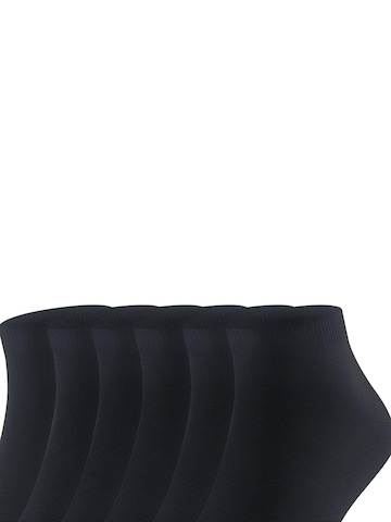 FALKE Socks 'Happy 6-Pack' in Blue