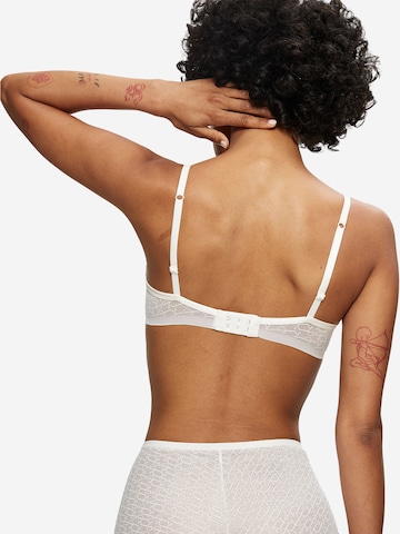 TRIUMPH Push-up Bra ' Red Label Triumph Signature Sheer ' in White