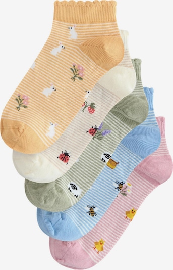 Next Čarape u boja pijeska / svijetloplava / med / maslinasta / ružičasto crvena, Pregled proizvoda