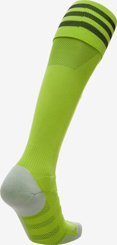 ADIDAS SPORTSWEAR Soccer Socks in Green