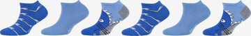 s.Oliver Socks in Blue: front