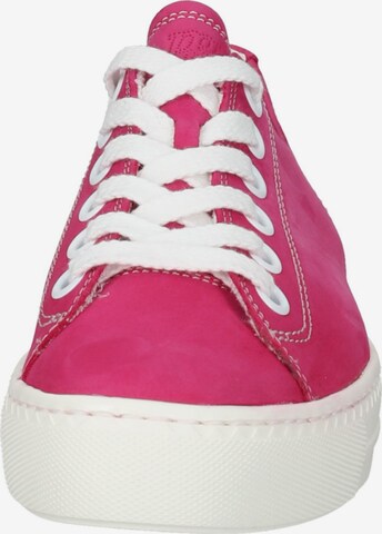 Sneaker bassa di Paul Green in rosa