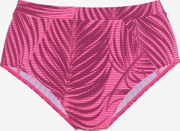 LASCANA ACTIVE Athletic Bikini Bottoms in Pink: front