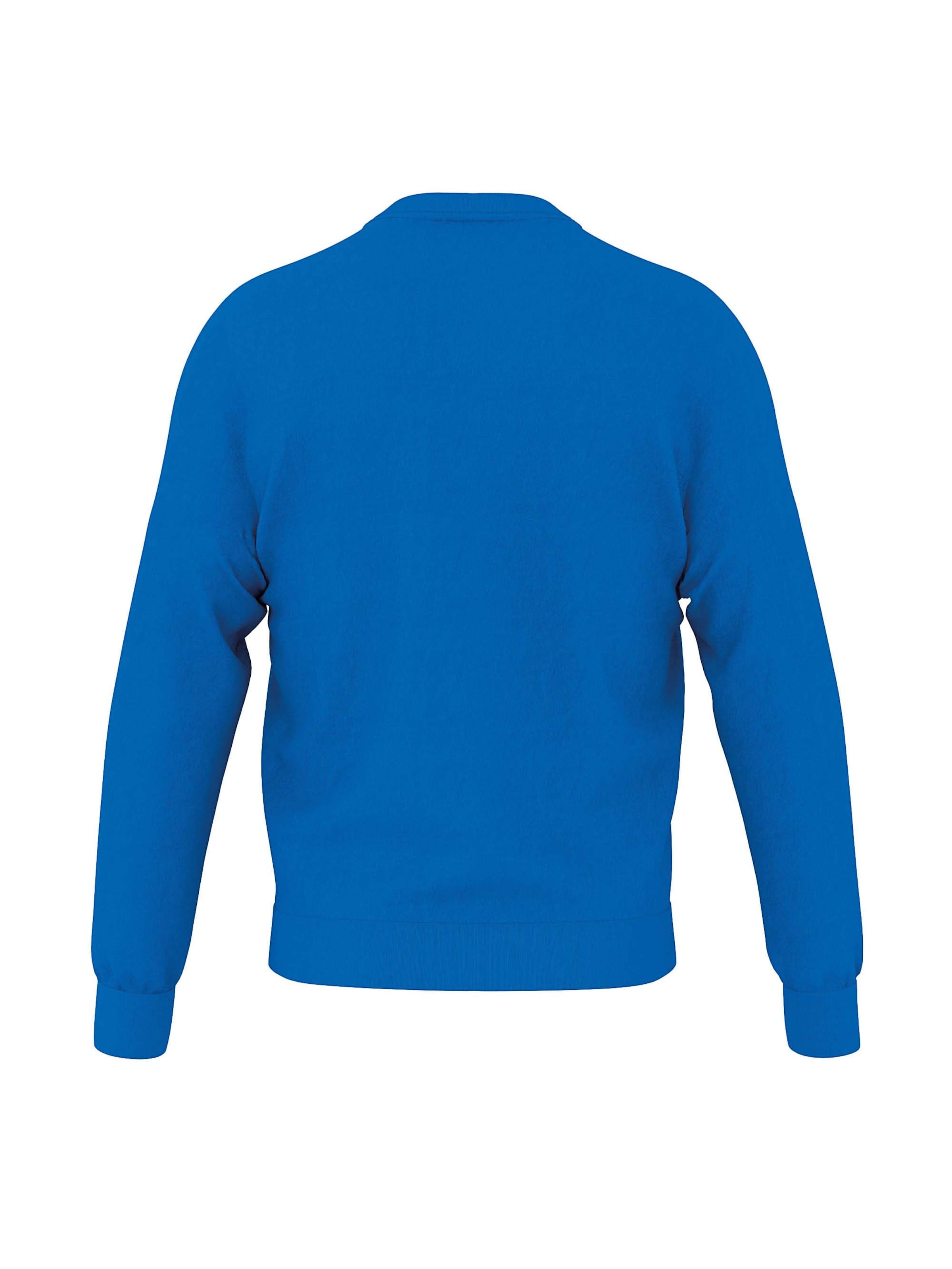 Errea Sports sweatshirt 'SKYE 3.0' in Blue