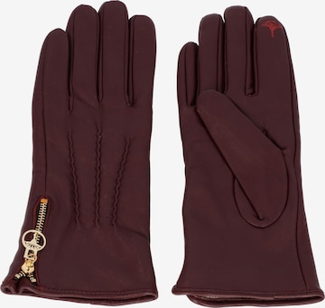 JOOP! Full Finger Gloves in Red: front