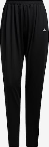 ADIDAS SPORTSWEAR Regular Sportbroek in Zwart: voorkant