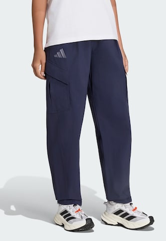 ADIDAS TERREX Обычный Штаны в спортивном стиле 'Xploric' в Синий: спереди