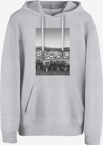 Cotton Prime Sweatshirt 'Schafe Mit Sonnenbrille' in Grau: Vorderseite