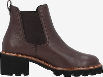 Paul Green Chelsea boots '8076' in Bruin
