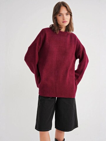 Pullover 'Pullover' di MixRay in rosso