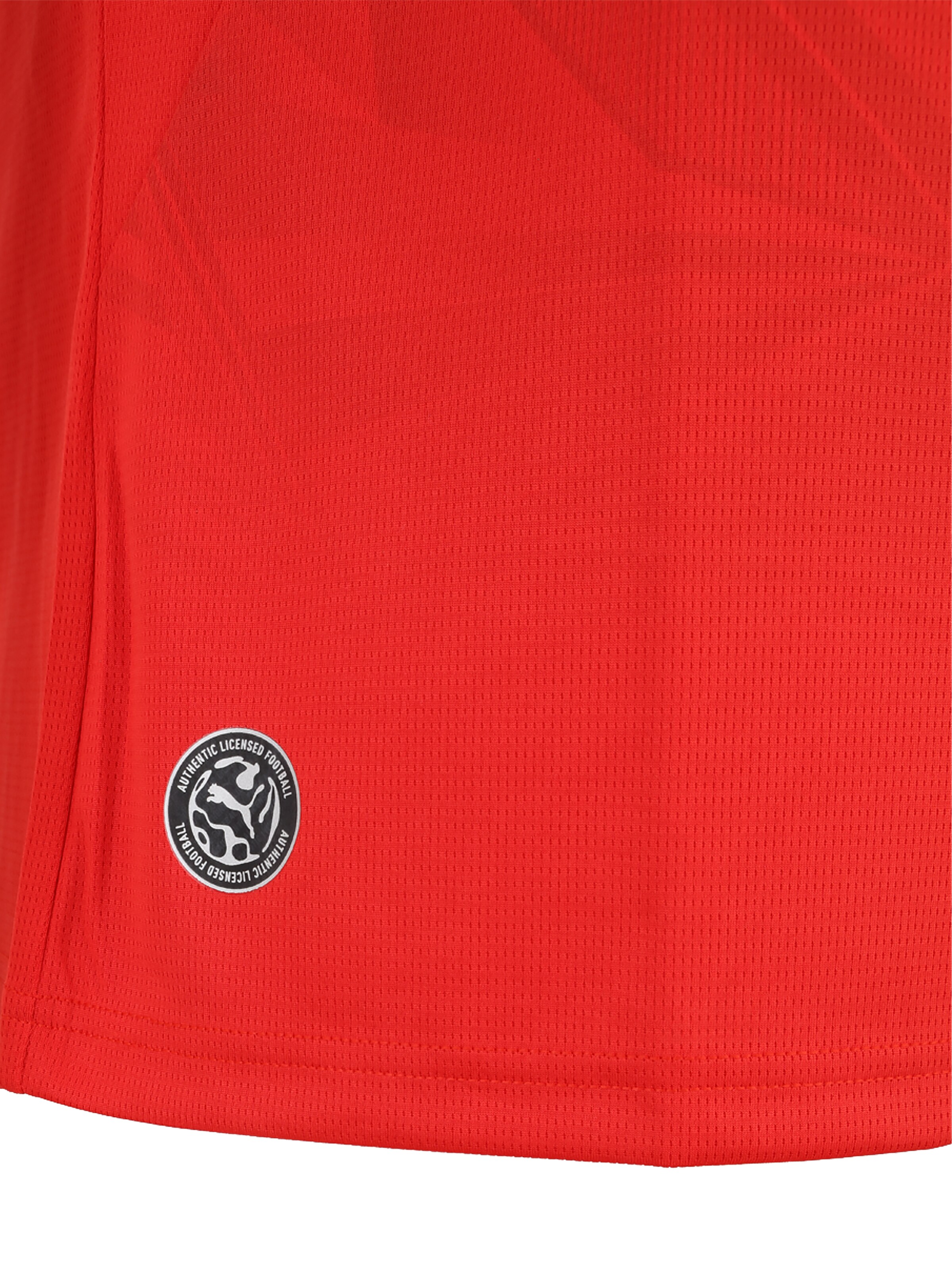 Maglia trikot 'EFA Home' di PUMA in rosso