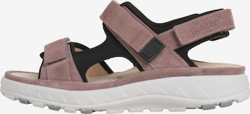 Ganter Wandelsandalen in Roze