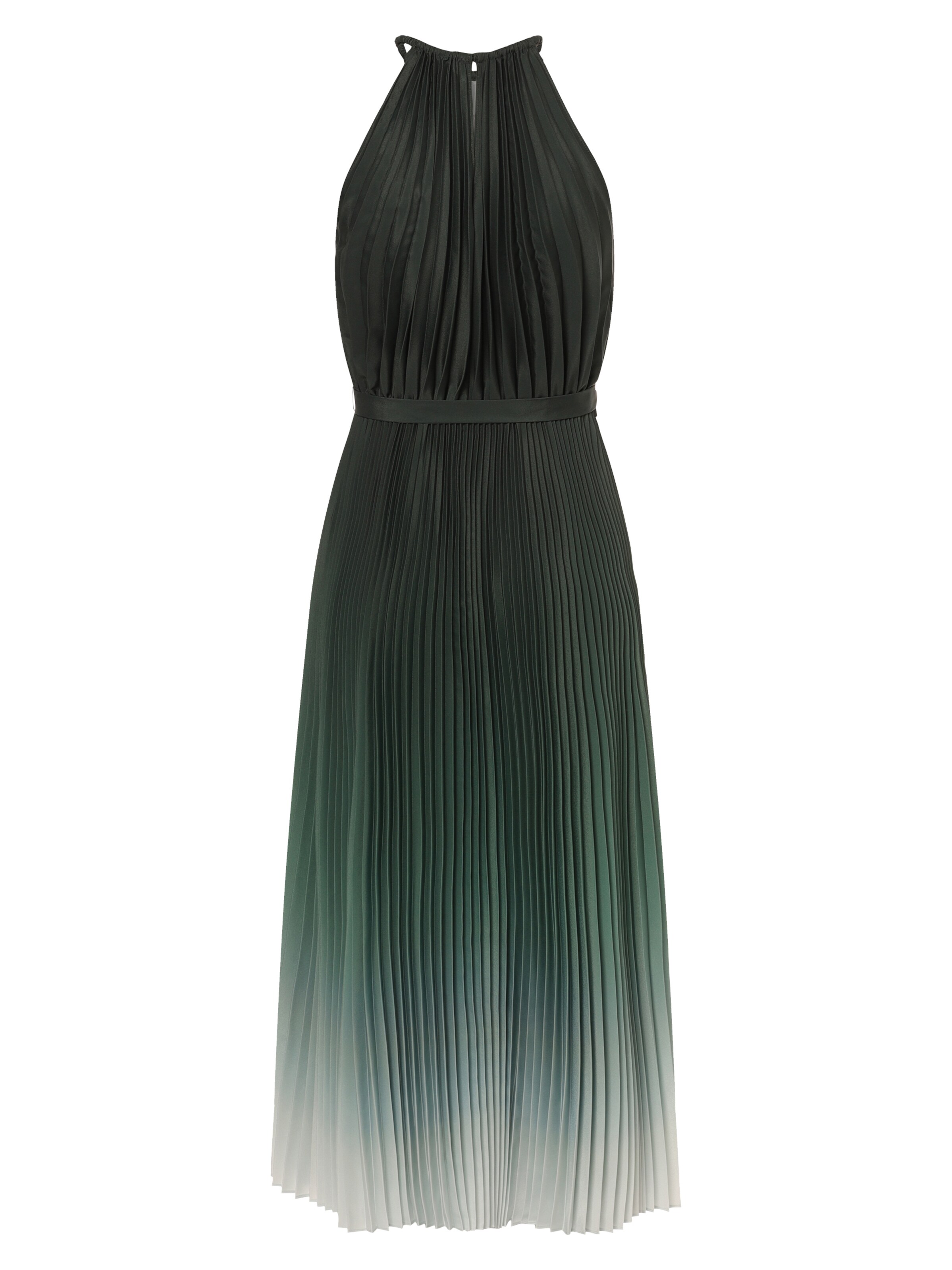 Ambiance Abendkleid in Grün