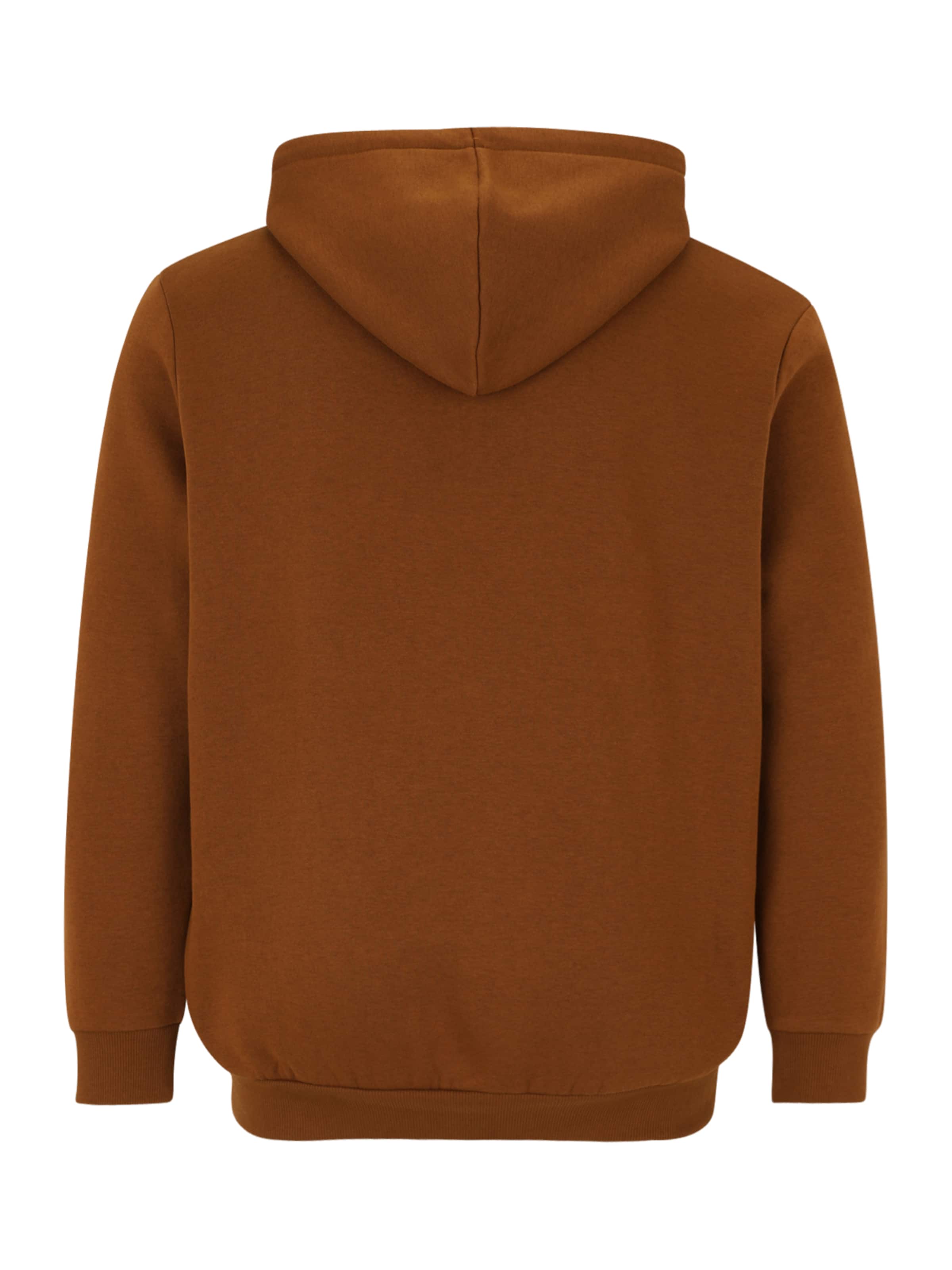 Jack & Jones Plus Свитшот 'JJEBRADLEY' в Коричневый