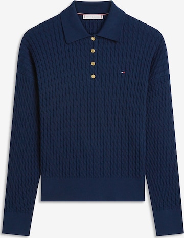 mėlyna TOMMY HILFIGER Megztinis: priekis