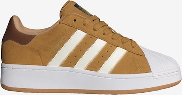 ADIDAS ORIGINALS Trampki niskie 'Superstar' w kolorze brązowy