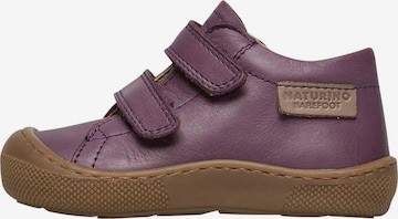 NATURINO Sneakers in Purple: front