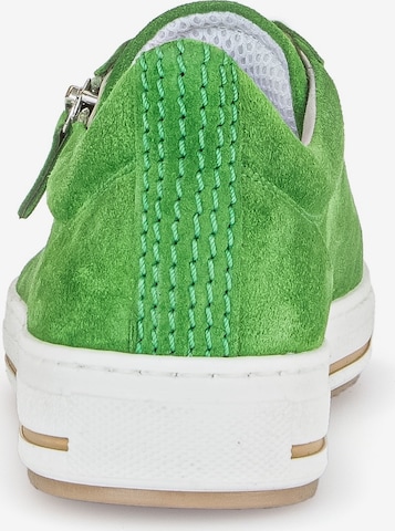 Sneaker bassa di GABOR in verde