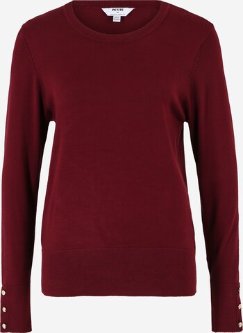 Dorothy Perkins Petite Sweater in Purple: front