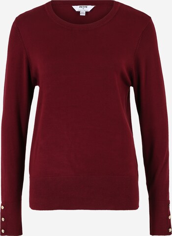 Dorothy Perkins Petite Pullover in Lila: predná strana