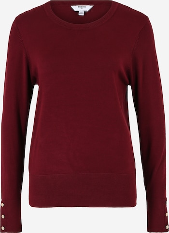 Dorothy Perkins Petite - Pullover em roxo: frente