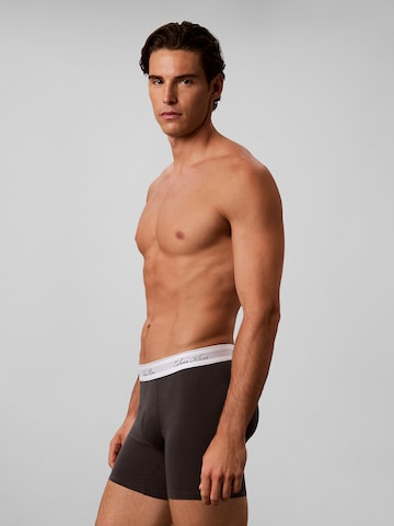 Calvin Klein Boxershorts in Gemengde kleuren
