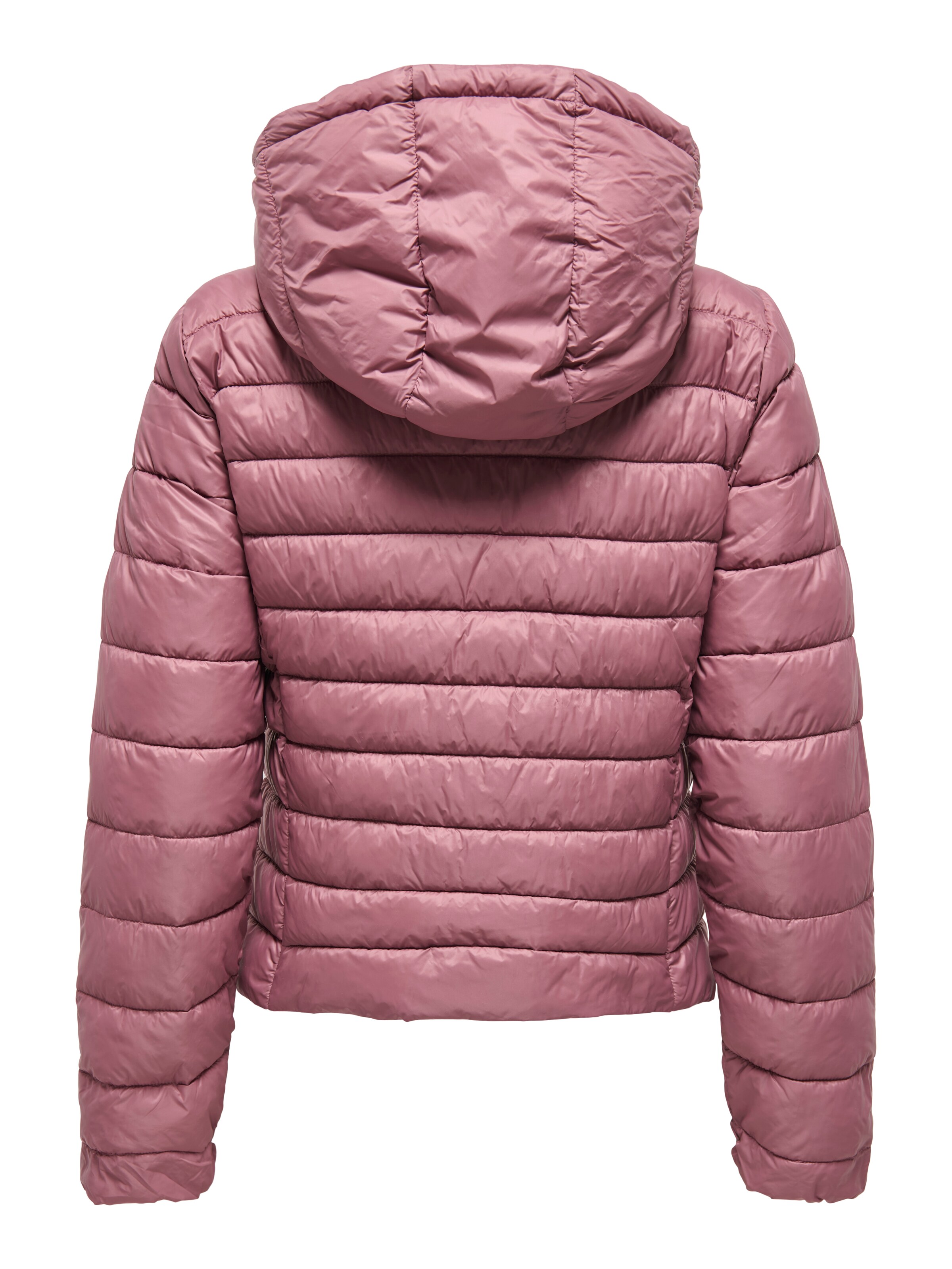 ONLY Between-Season Jacket 'ONLTahia' in Purple