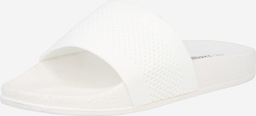 balta Hailys Šlepetės 'Ch44ica': priekis