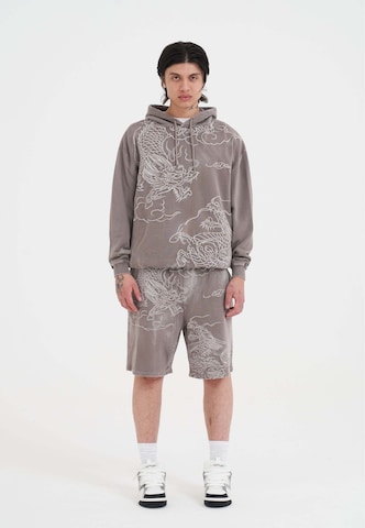 Ed Hardy Sweatshirt 'Battle Dragon' i grå