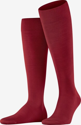 FALKE Kniestrümpfe 'ClimaWool' in Rot: Vorderseite