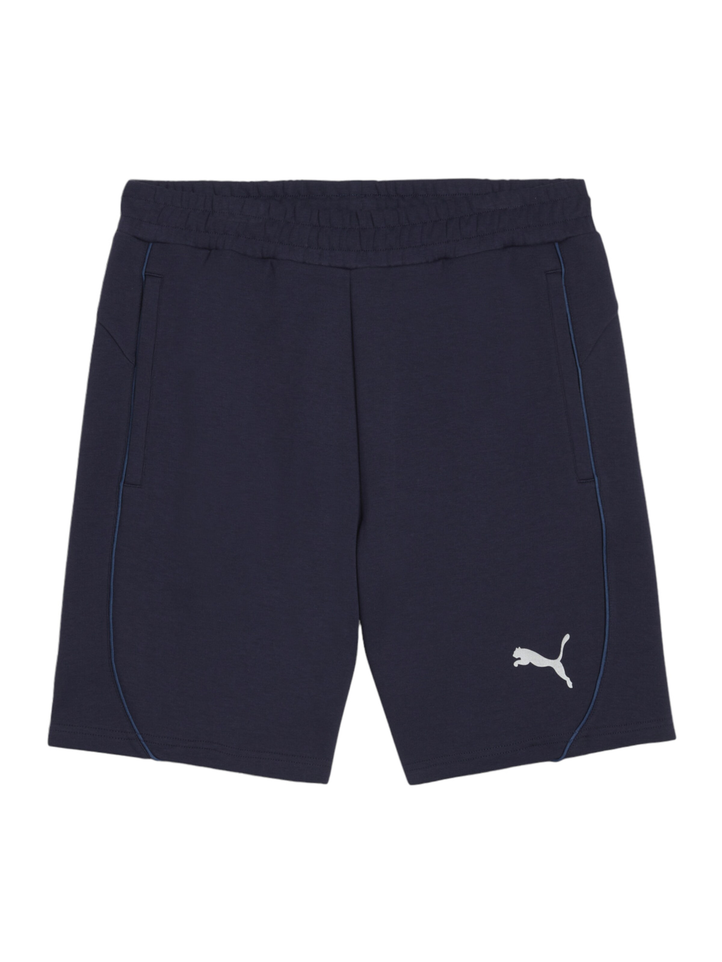 PUMA Sporthose 'TeamFinal' in Blau: Vorderseite