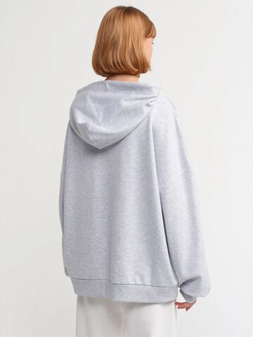 Dilvin Sweatshirt in Grey