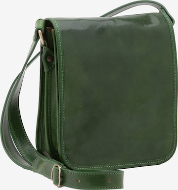 Borsa a tracolla di Viola Castellani in verde: frontale