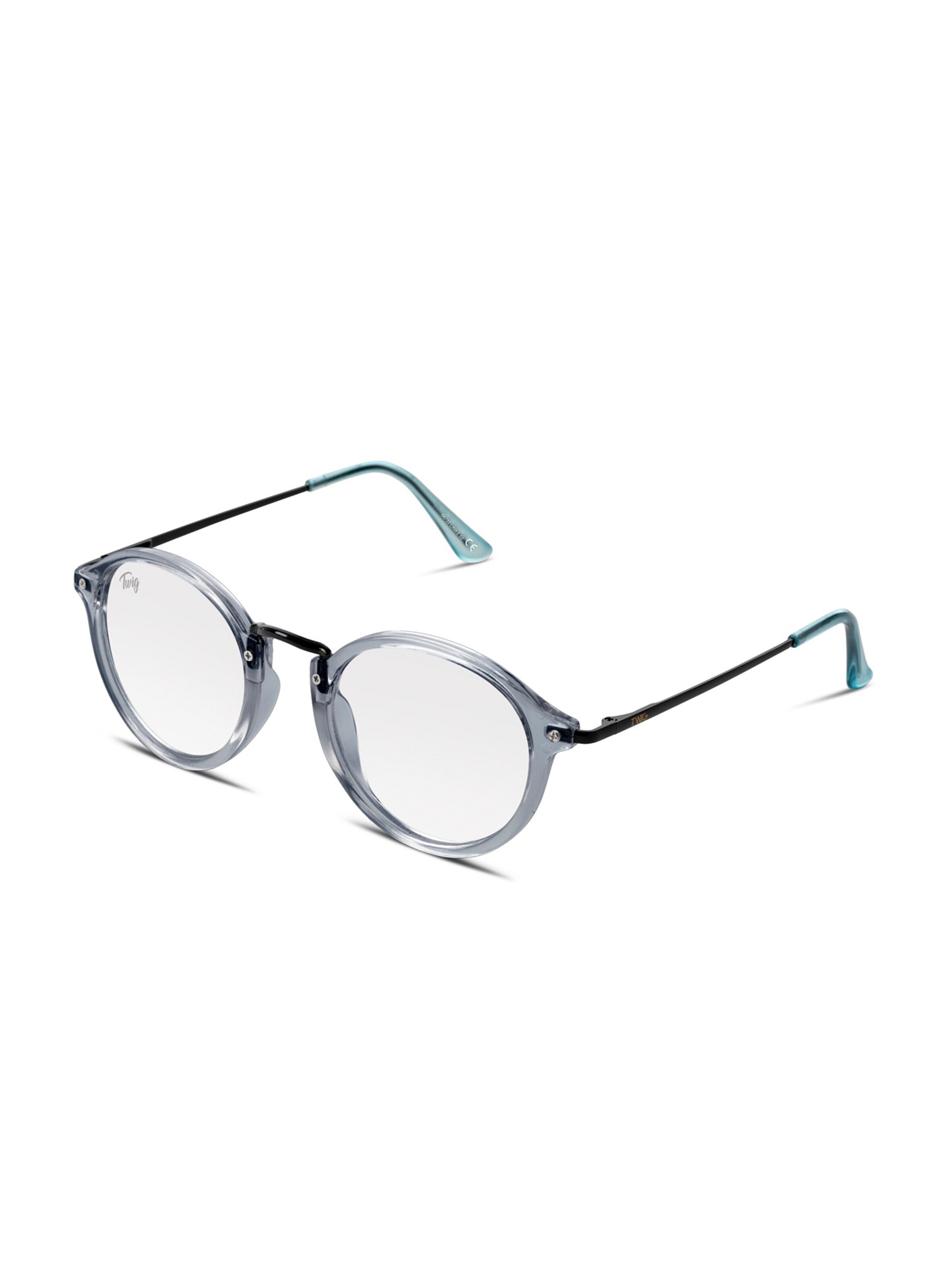 TWIG Concept Milano Okulary 'Linke' w kolorze szary: przód