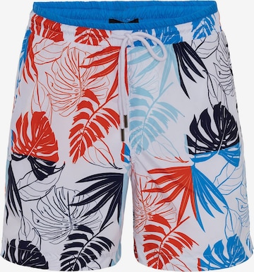 Daniel HillsKupaće hlače - miks boja boja: prednji dio