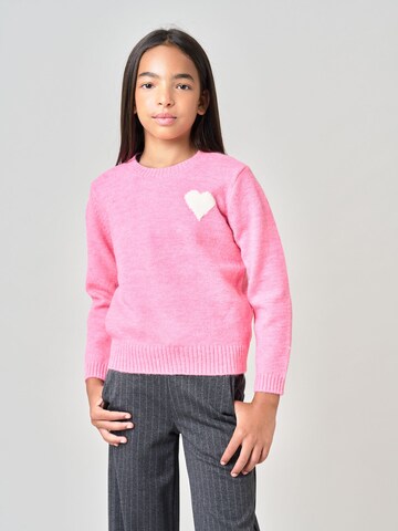 Deeluxe Trui in Roze