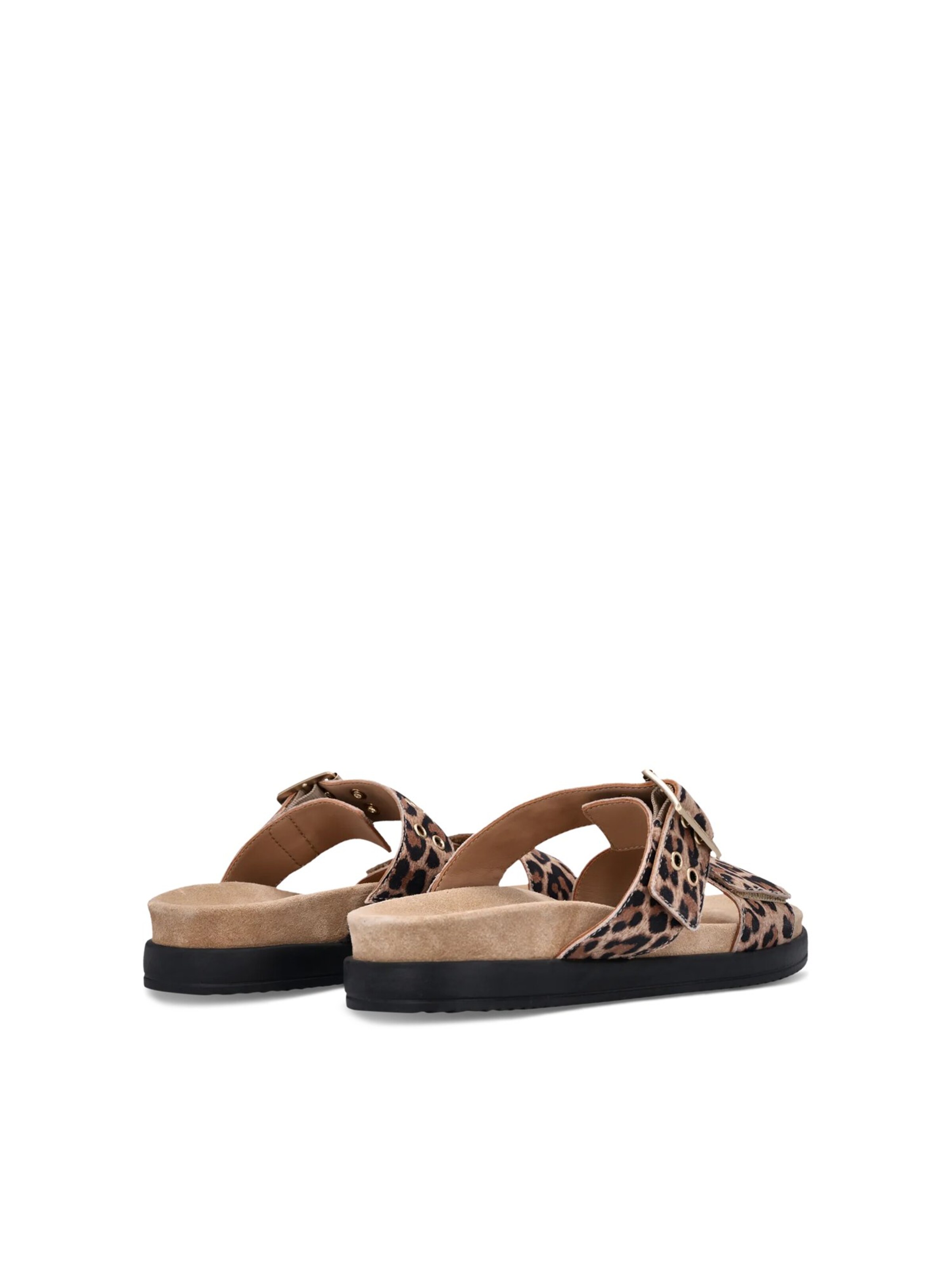 SALAMANDER Mules in Brown